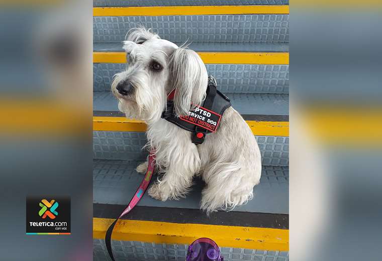 Sancionan a chofer por cerrarle puerta de bus “en la cara” a mujer con ...